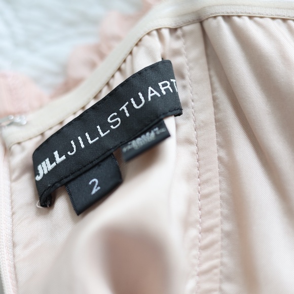 Anthropologie BHLDN Prom Formal Wedding Guest Dress Dusty Rose Size 2 - Picture 13 of 14